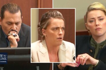 Amber Heard Allegedly Abused & Threw Wine at Her Sister Whitney: Johnny Depp