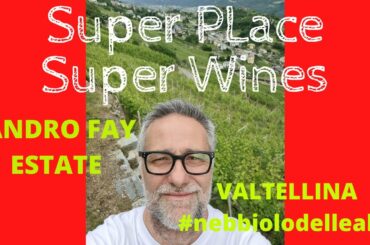 I vini della VALTELLINA | Sandro Fay | Nebbiolo e Chardonnay delle Alpi
