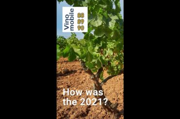 Wine Vintages from VinoMobile: 5,612 wine vintage ratings from 135 wine regions until 2021