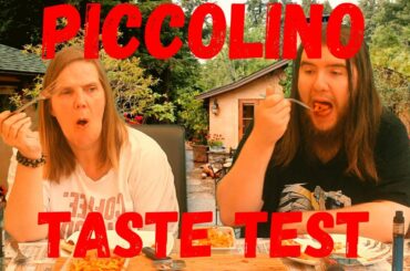 Piccolino Taste Test - Frozen Italian Food