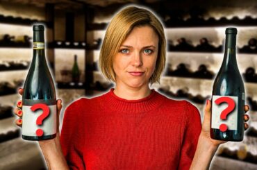 5 Great Age-Worthy RED WINES (For Your Cellar)