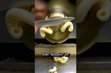 Do You Know “Cellentani” Pasta ? Fascinating Italian Pasta Shapes #Shorts #gifted