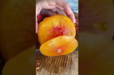 Tomato Pesto Galette #shorts #recipe #food