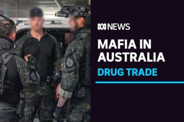 Italian mafia 'pulling the strings' of Australia's outlaw motorcycle gangs, AFP says | ABC News