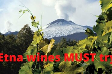Etna wines MUST try!