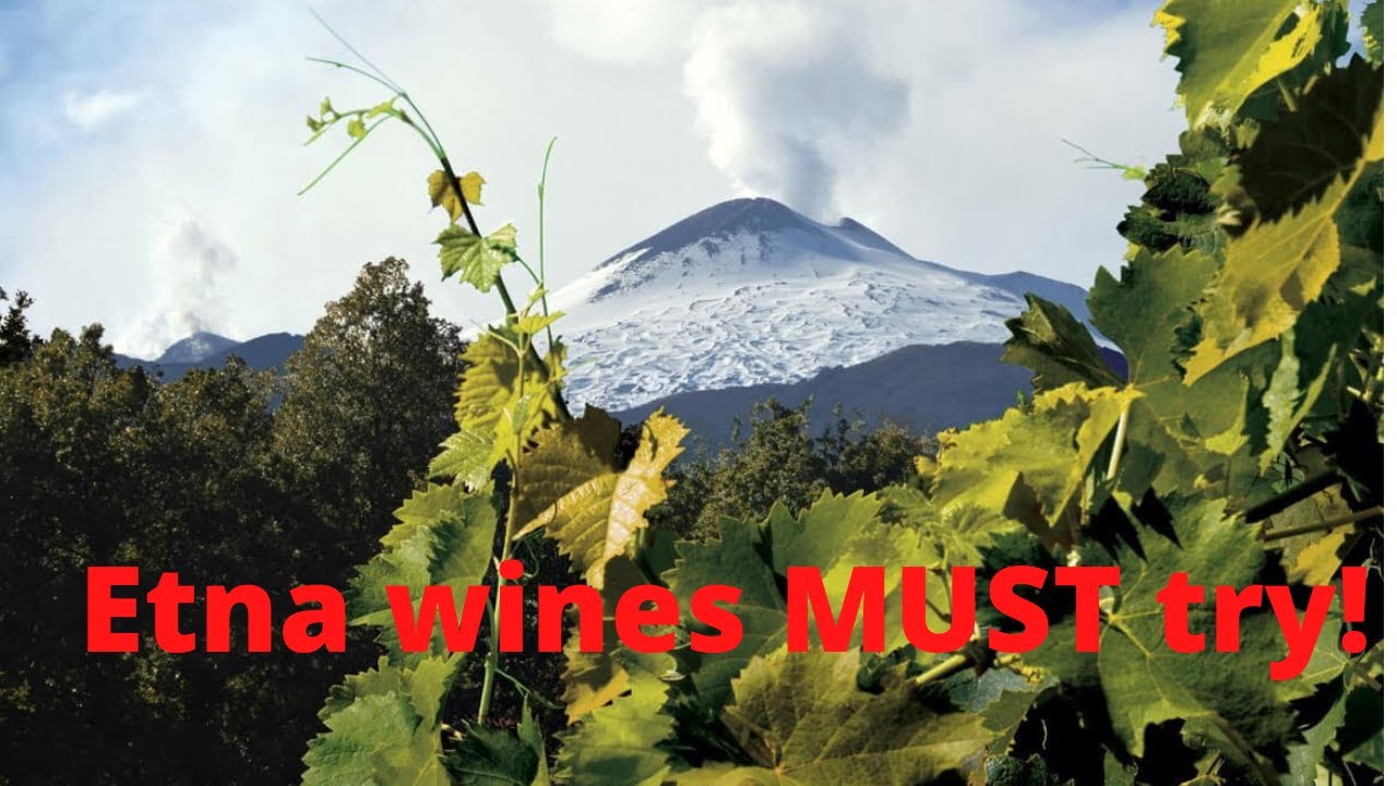 Etna wines MUST try! Etna wines MUST try!