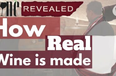 Making Wine In Tuscany Episode 2