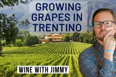 WSET Level 4 Diploma D3 Italy Trentino Grape Growing