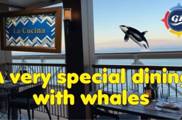 Dining with whales in Alaska - NCL Bliss | La Cucina Italian Restaurant