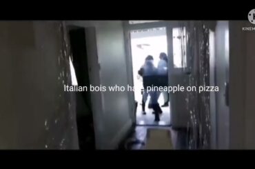 pov : you put pineapple in all italian food/pizza