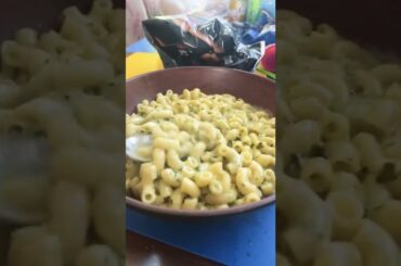 Dining with Doggo (part 2)