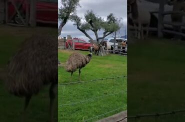 this is the amazing place for wine taste     #castello #castle #italia #italy #travel #ig #castello