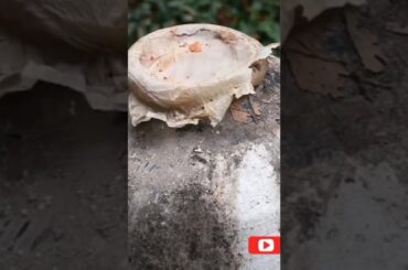 Old wine | Perfect wine #shorts #wine #anggur #anggurmerah