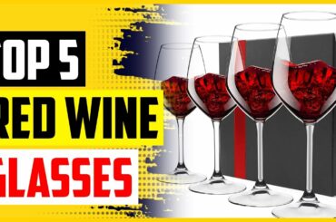 Top 5 Best Red Wine Glasses Reviews 2022
