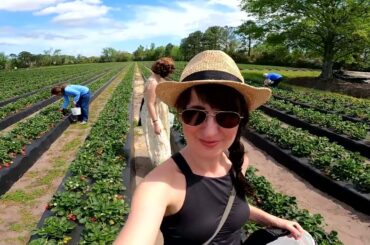 A Season for planting, baking, cooking, and growing...