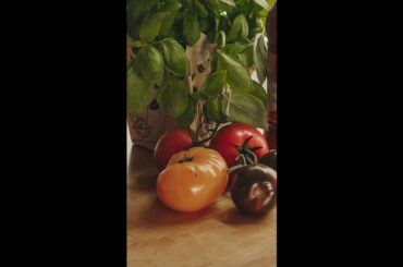 Refreshing Caprese Salad with mozzarella, tomatoes, and basil, seasoned with salt, and olive oil.