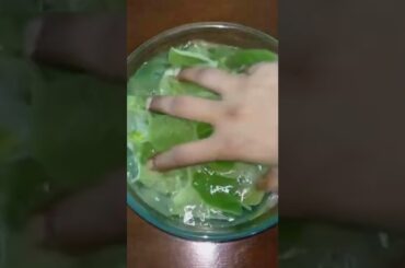 How To Make Oregano At Home | Oregano | Oregano Recipe | Italian Herbs | Kitchen Hacks | Tips#shorts