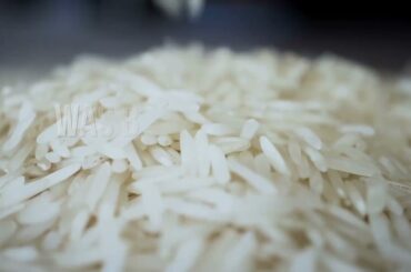 Travel Facts Happiness, Italy Wine, and the Great Wall. #shorts #earnmoneyfromhome #bucketlist