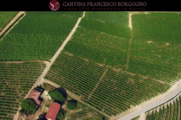 Cantina Borgogno Francesco, Piedmont, Italy