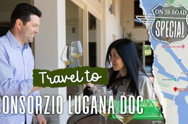 Interview with Fabio Zenato of the Consortium Tutela Lugana DOC (On the Road W/ Stevie Kim) Wine!