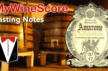 Amarone della Valpolicella 2017 Corvina, Wine Sensory Evaluation and Wine Review