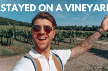 I STAYED ON A VINEYARD IN SURREY & TASTE OF LONDON FESTIVAL | VLOG