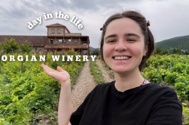 One Day at the Georgian Winery - cooking on fire, winemaking and too many animals