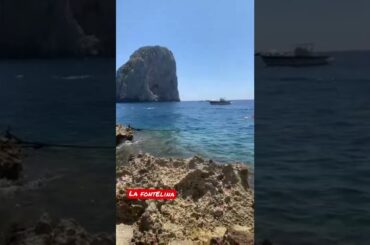 Capri pt2 #shorts #capri #italy #travel #food #delicious #foodie #wine #drinks #vacation  #summer