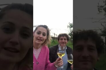 Hello from Famiglia Febo Winery in Abruzzo