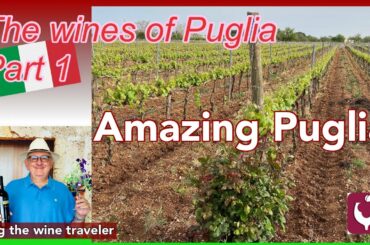 Amazing Wines of Puglia, Part 1