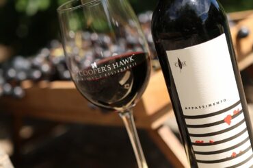 Appassimento - Cooper's Hawk July 2022 Wine of the Month