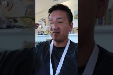 Wine Travel Season has begun #shorts