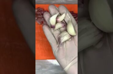 Cooking pasta fast #shorts #recipe #food #cooking #fun #tasty #yummy #italianfood #pasta #delicious