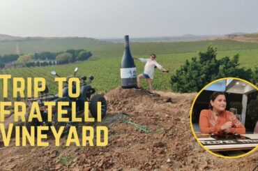 Trip to Vineyard near Pune || The Fratelli Vineyard