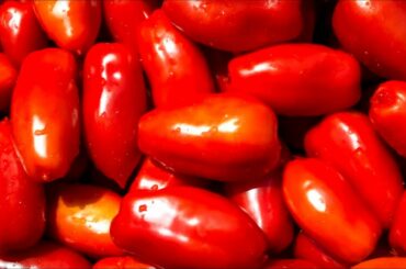 The Untold Truth Of San Marzano Tomatoes