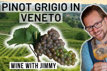 WSET Level 4 Diploma D3 Veneto Pinot Grigio