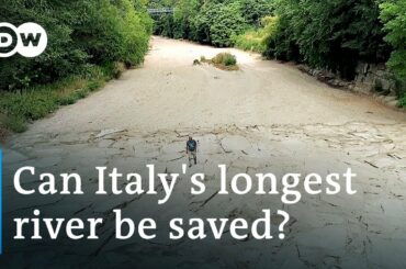 Italy in grips of severe drought as Po river dries up | DW News