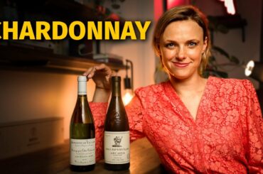 Wine Grapes 101: CHARDONNAY