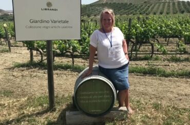 Visiting the Librandi winery in Calabria, Italy