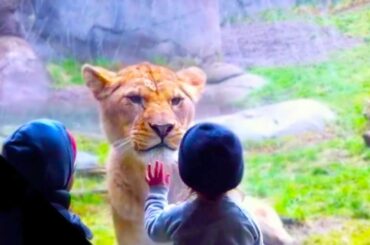 20 Times The Glass Was Not Strong Enough