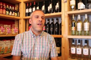 Bruno Buccelli on why your business should consider taking on an apprentice