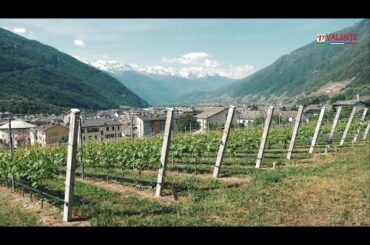 I Pali Raccontano - Contadi Gasparotti