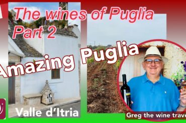 Amazing Puglia Wine, Part 2