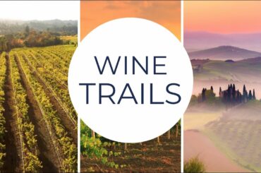 Top 3 Wine Trails in the World