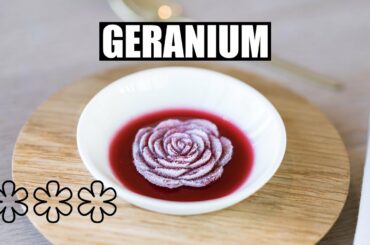 Geranium is the World's Best Restaurant 2022! Copenhagen Stays No. 1 on the World’s 50 Best List