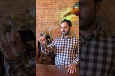 Matteo’s Italian-Wine-Pick-of-The-Week : 2018 Sono Montenidoli Vernaccia Fiore