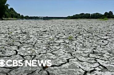 Italy faces historic drought threatening olive oil, other food exports