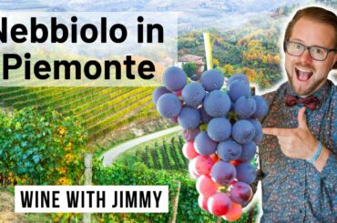 WSET Level 4 D3 Italian Wines Nebbiolo