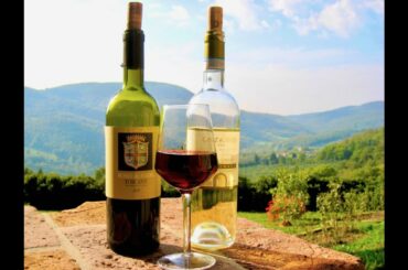 Best of Italy July 2022