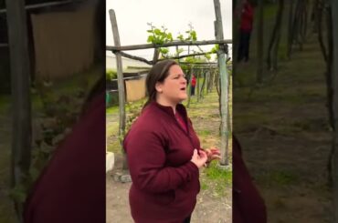 Touring an Italian Vineyard at Mt Vesuvio #Wine #Travel #Italy #Volcano #Mountains #Valley #Nature